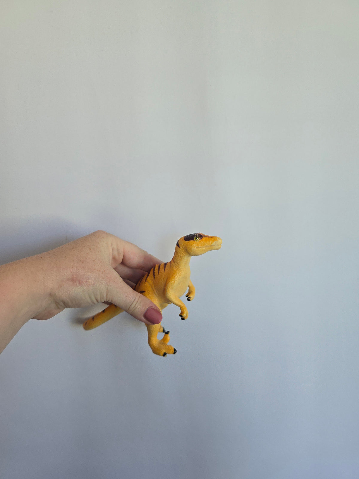 Learning Resources Raptor