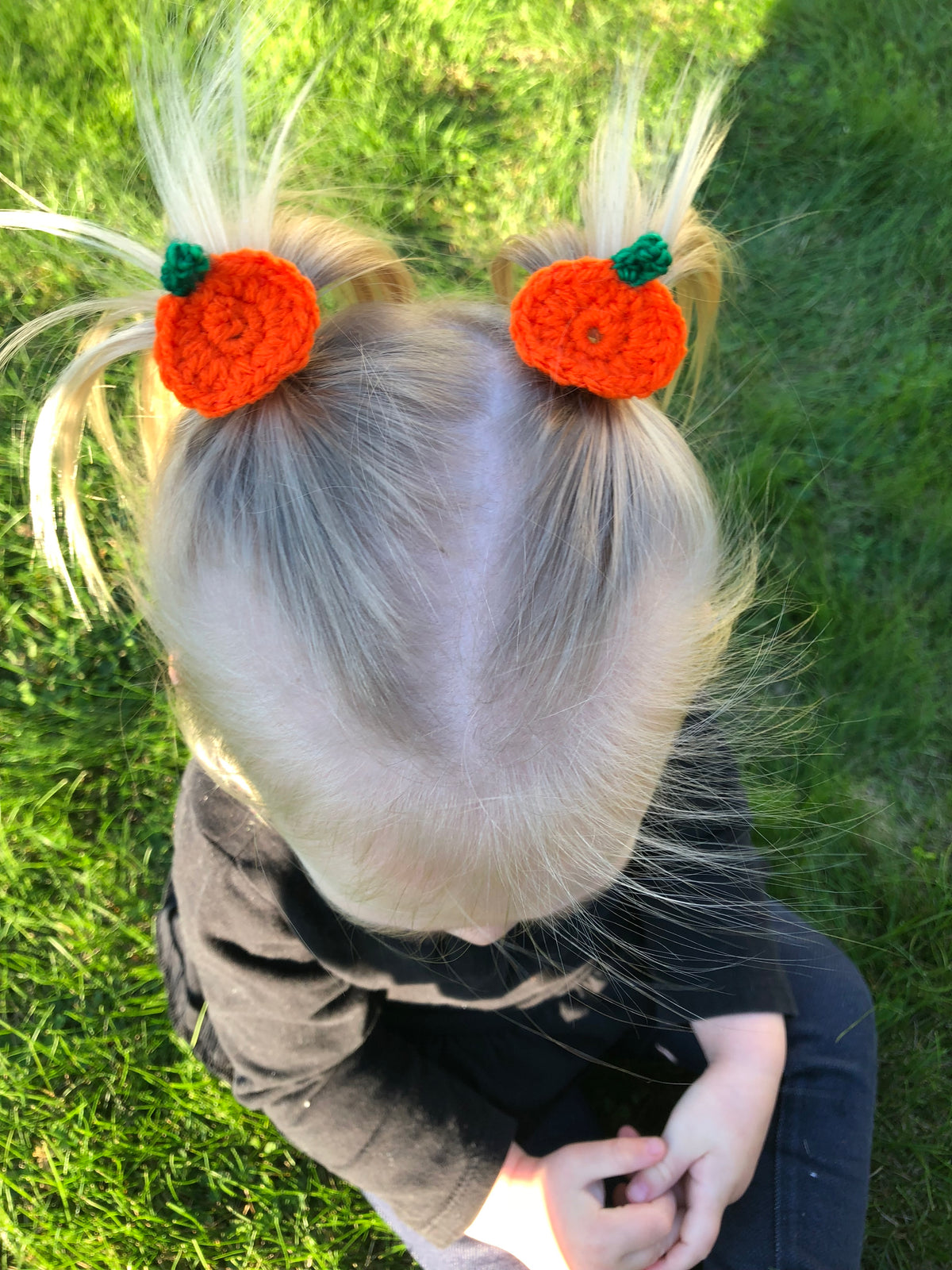 2 Pack Bright Pumpkin Piggy Hairclip Set