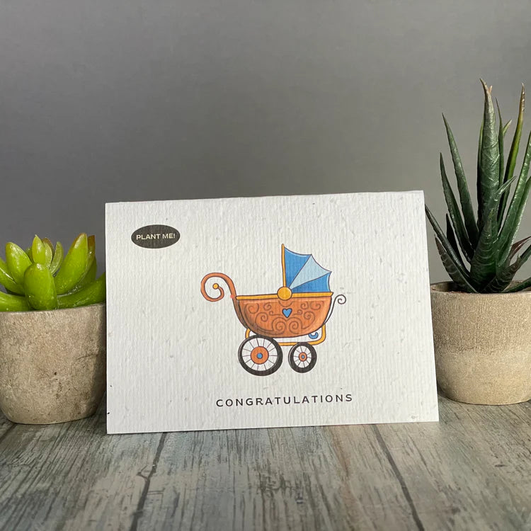 Plantable Greetings It's a Boy Plantable Greeting Card