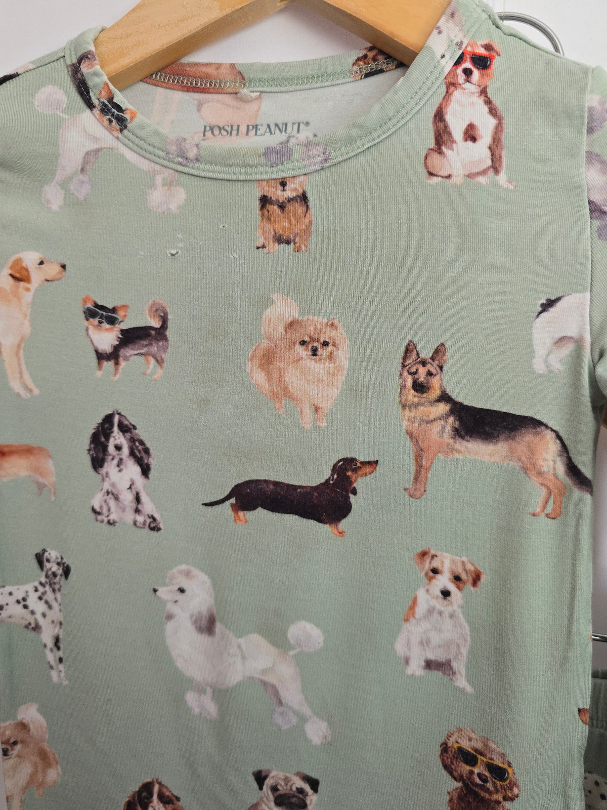 PLAYYY Posh Peanut Mint Doggy Pajama Set • 2 years