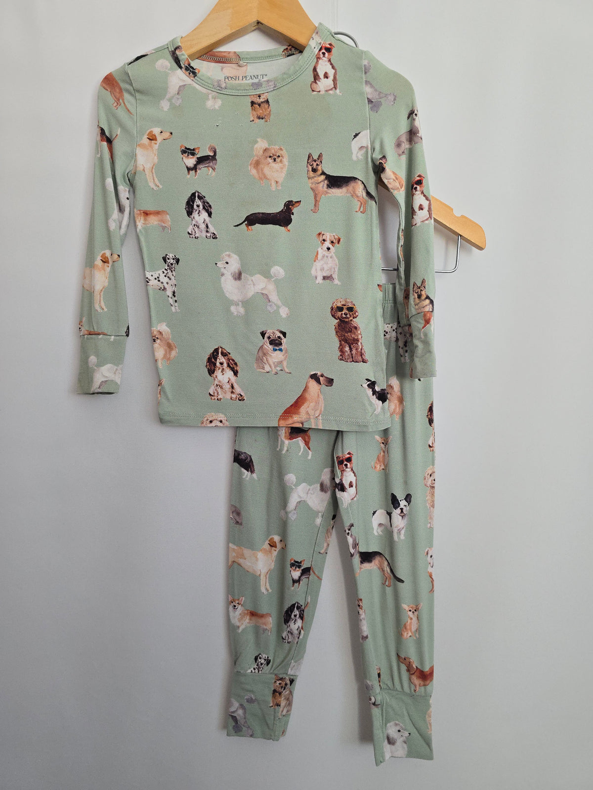 PLAYYY Posh Peanut Mint Doggy Pajama Set • 2 years