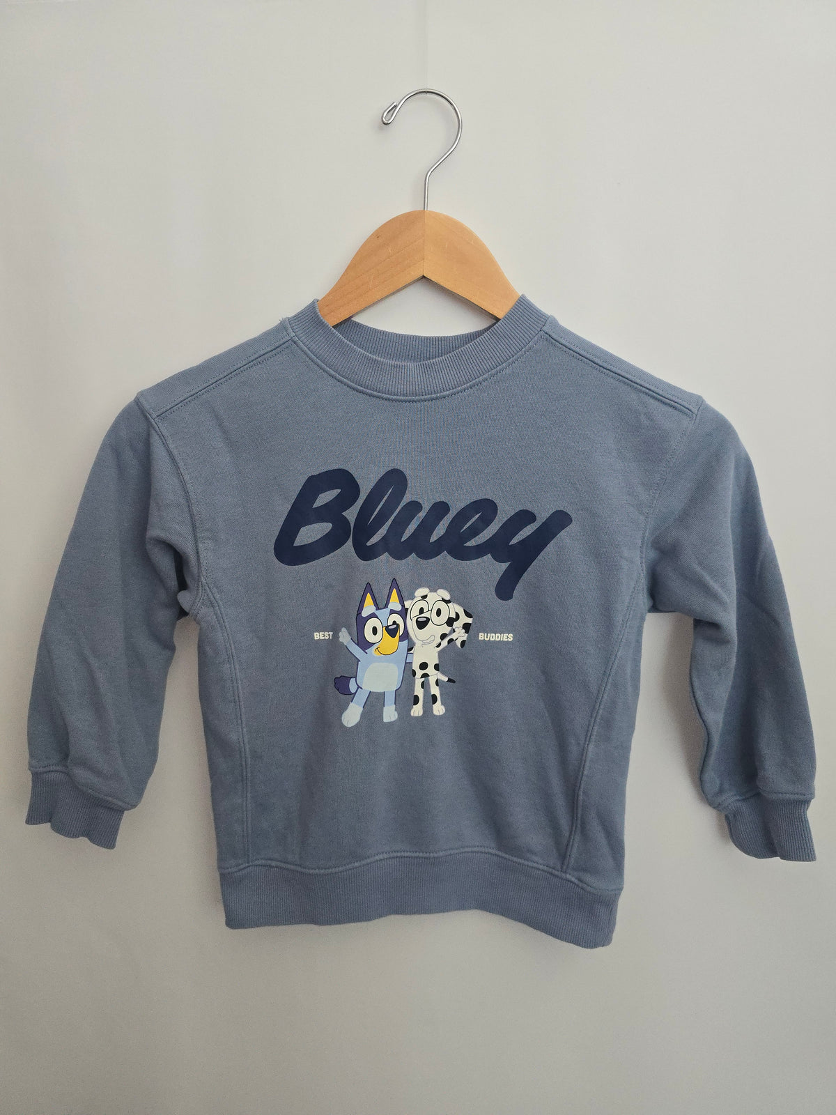 H&M Slate Blue Bluey Crewneck • 4-5 years