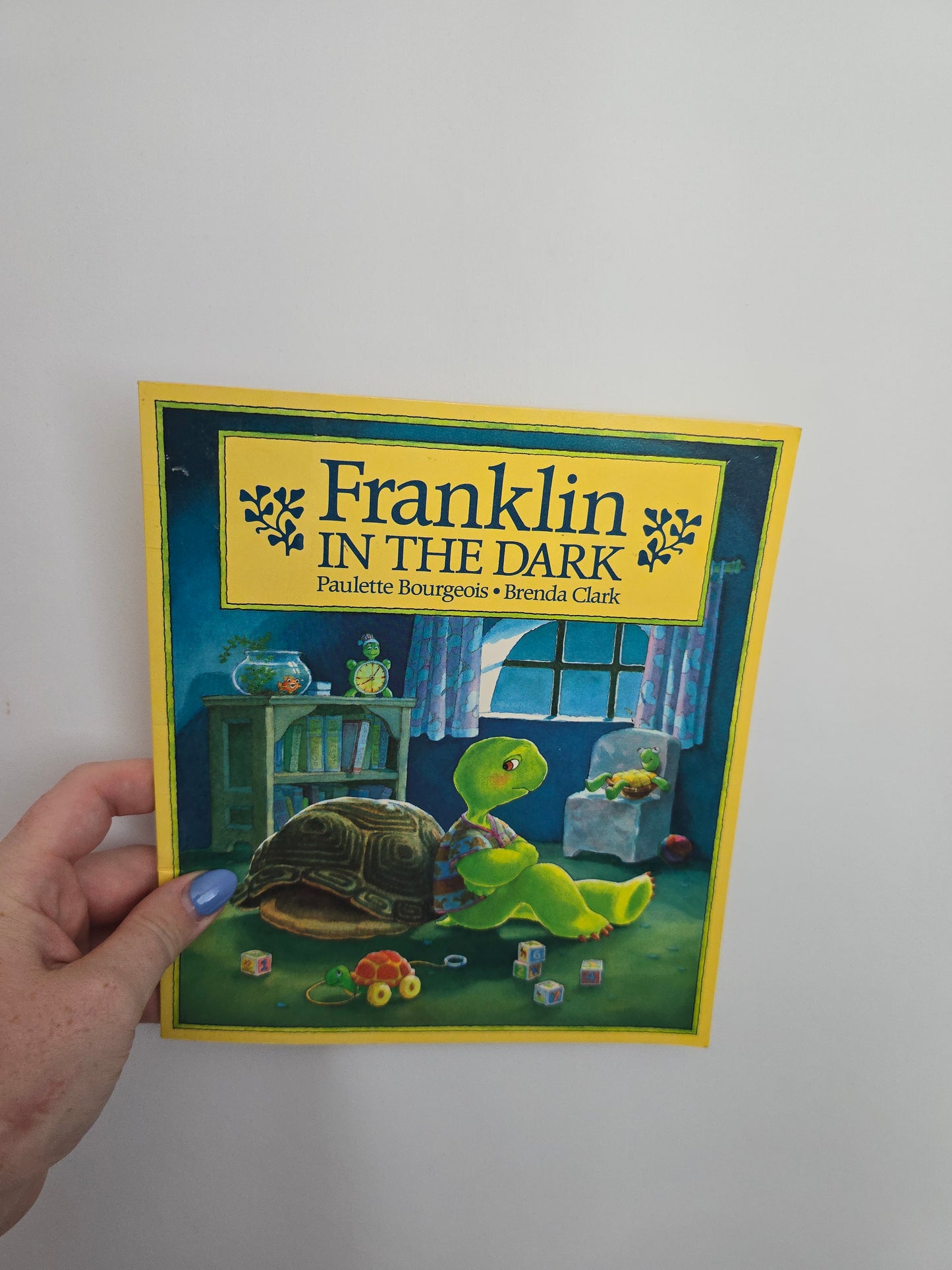 Franklin In The Dark • Softcover Book