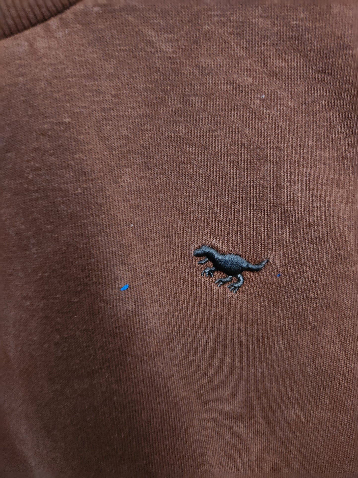 Next  Chestnut Dino Crewneck • 5-6 years