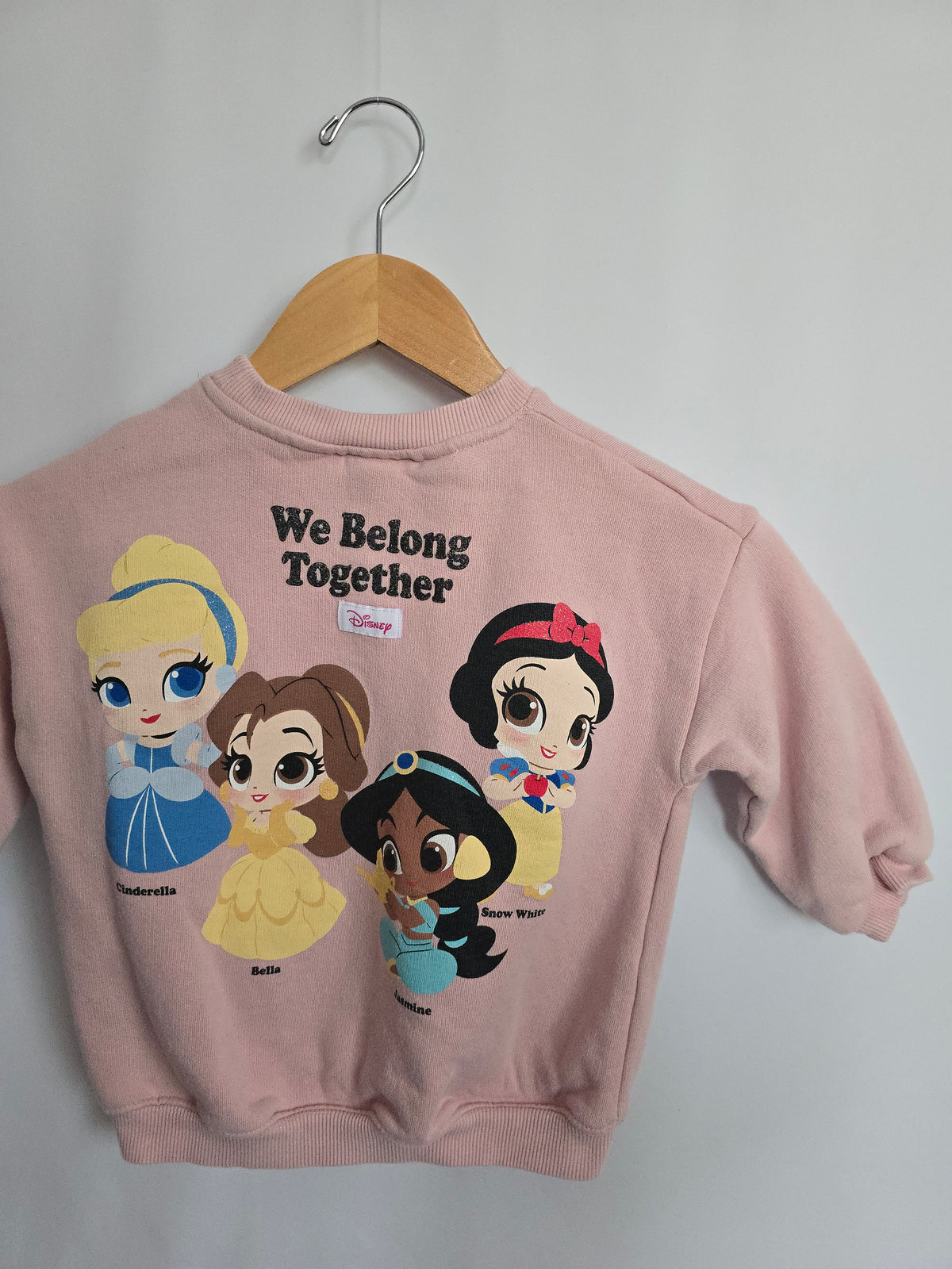 Zara x Disney Princess Pink Crewneck • 5 years
