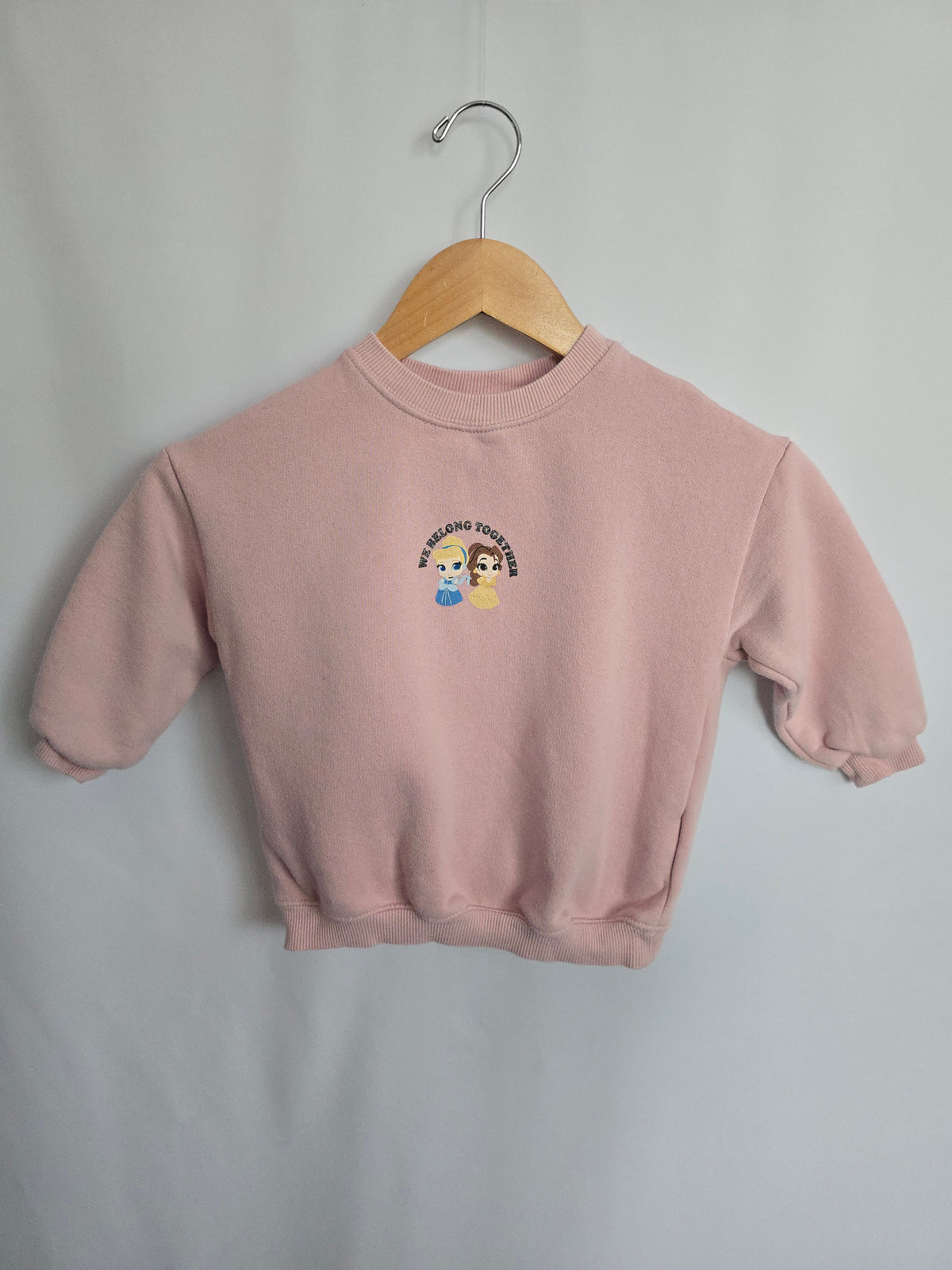 Zara x Disney Princess Pink Crewneck • 5 years