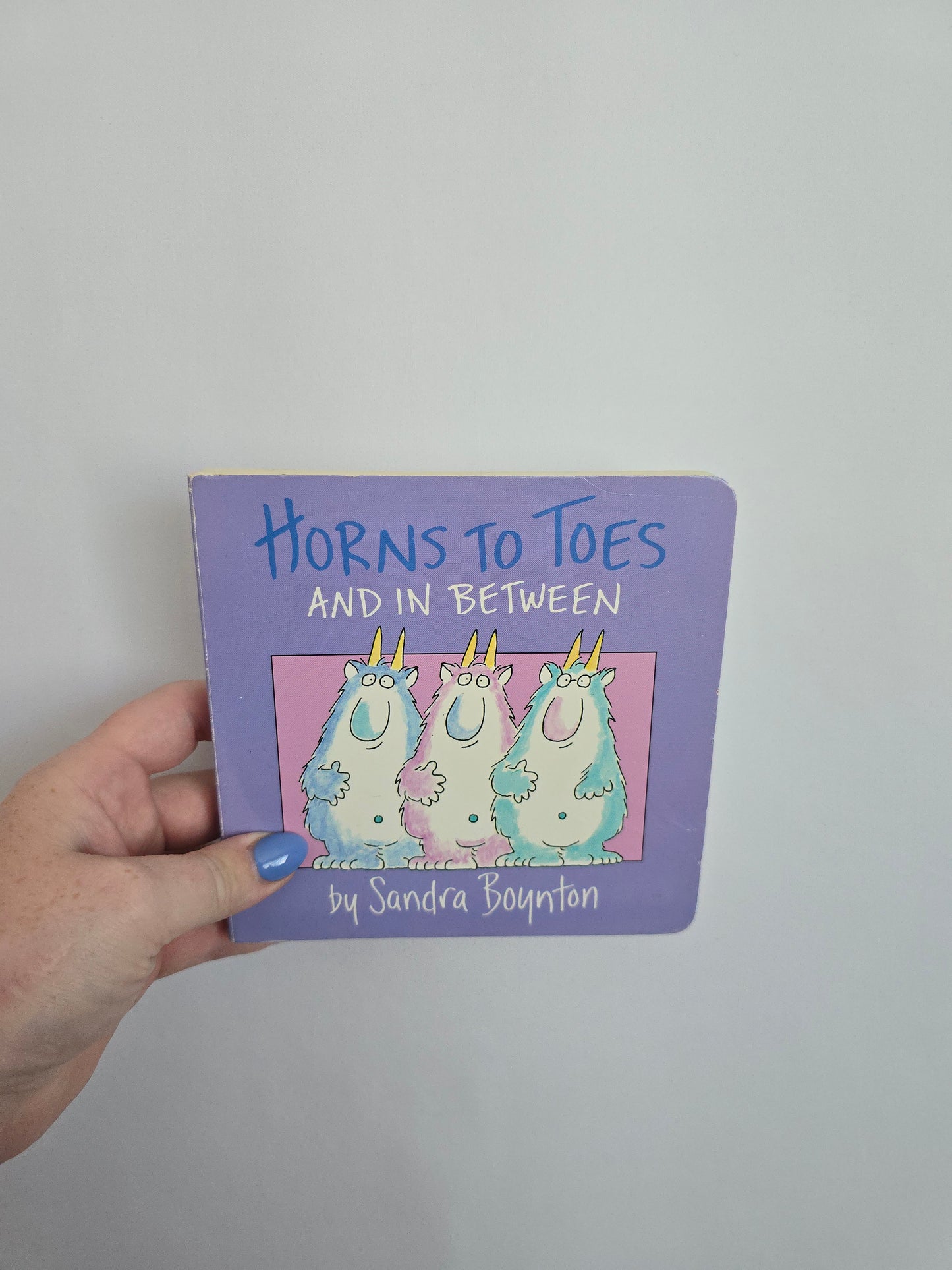 Horns To Toes & In Between • Board Book
