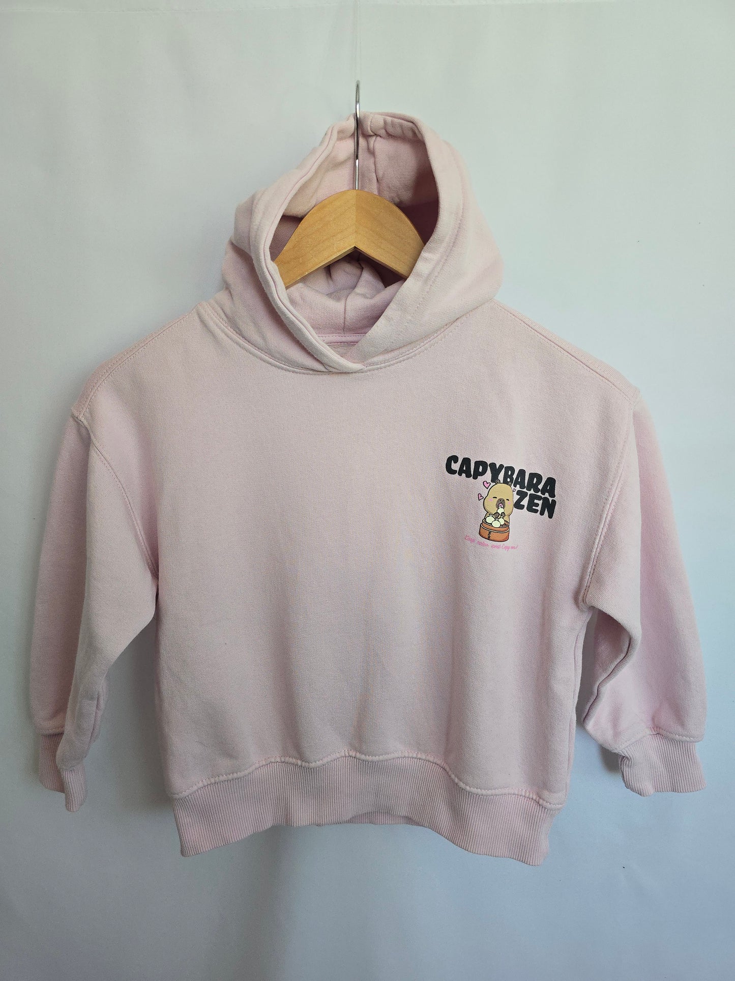 Zara x Capyfun Pink Hoodie • 6-7 years