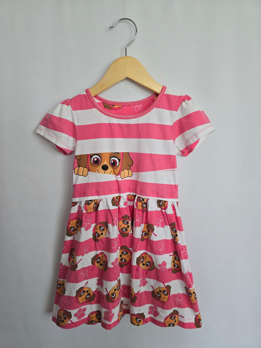 Paw Patrol Skye Character Dress • 4 years