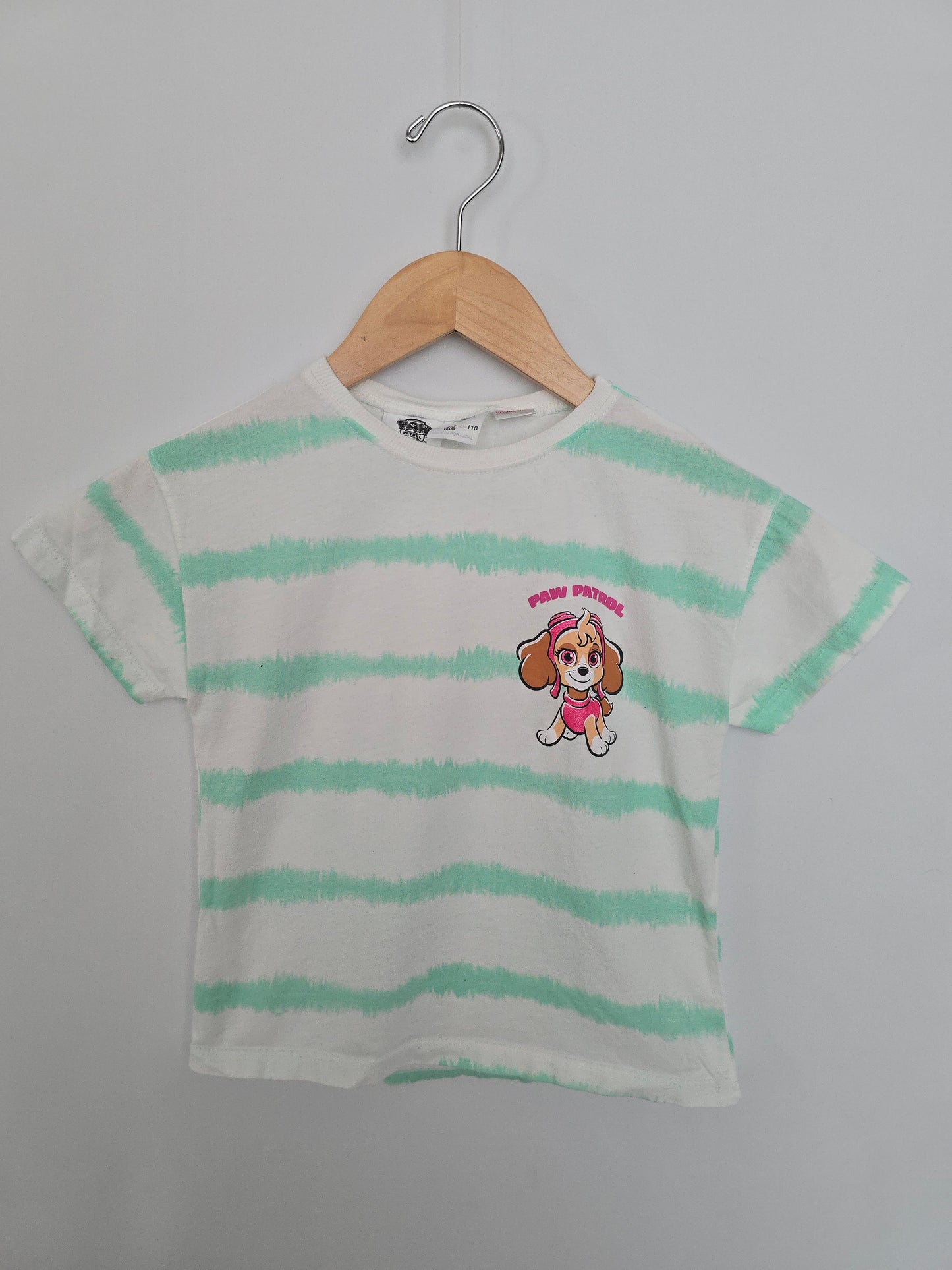 Zara Teal Stripe Skye Tee • 4-5 years