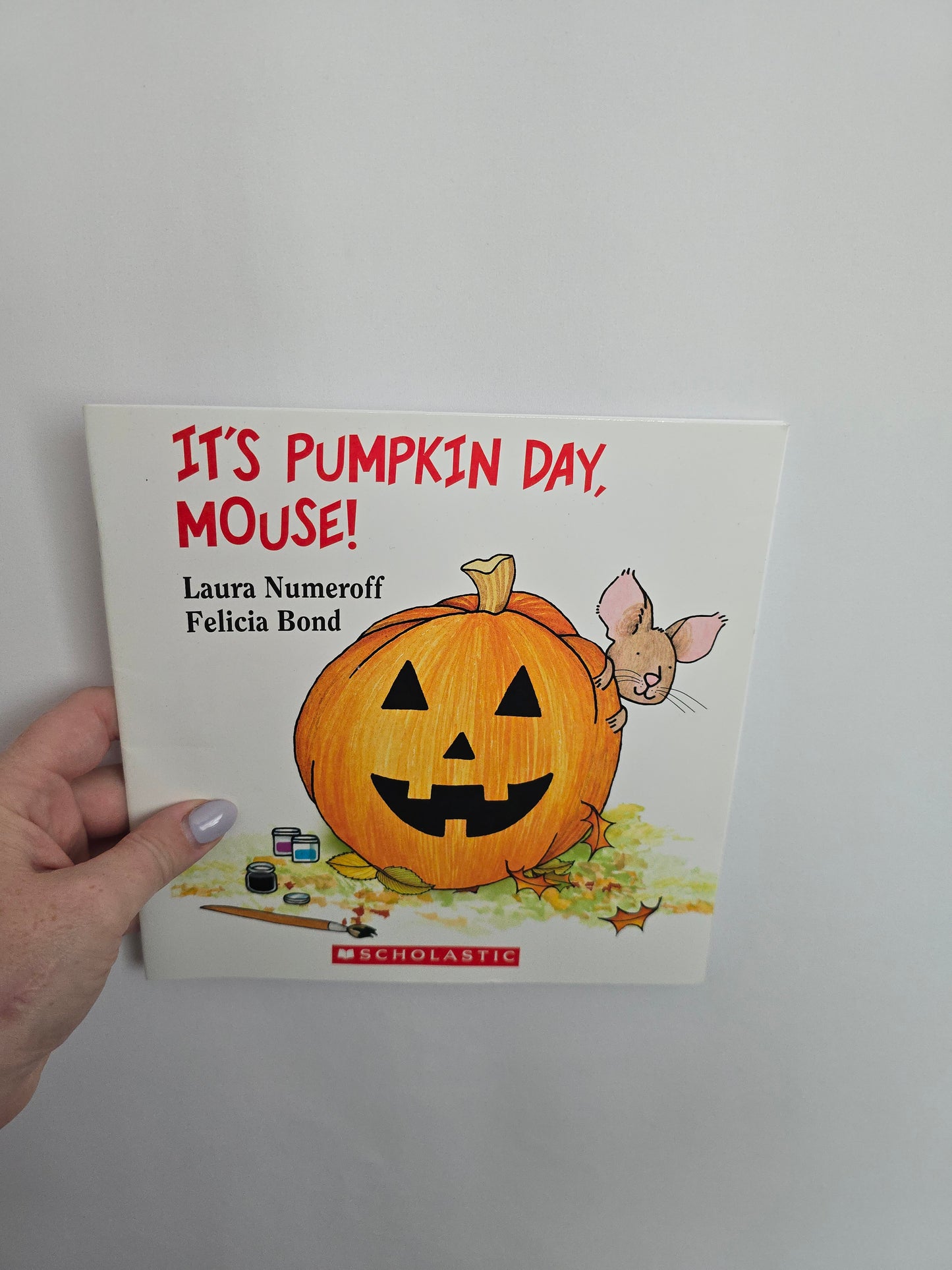 It's Pumpkin Day, Mouse! • Softcover Book