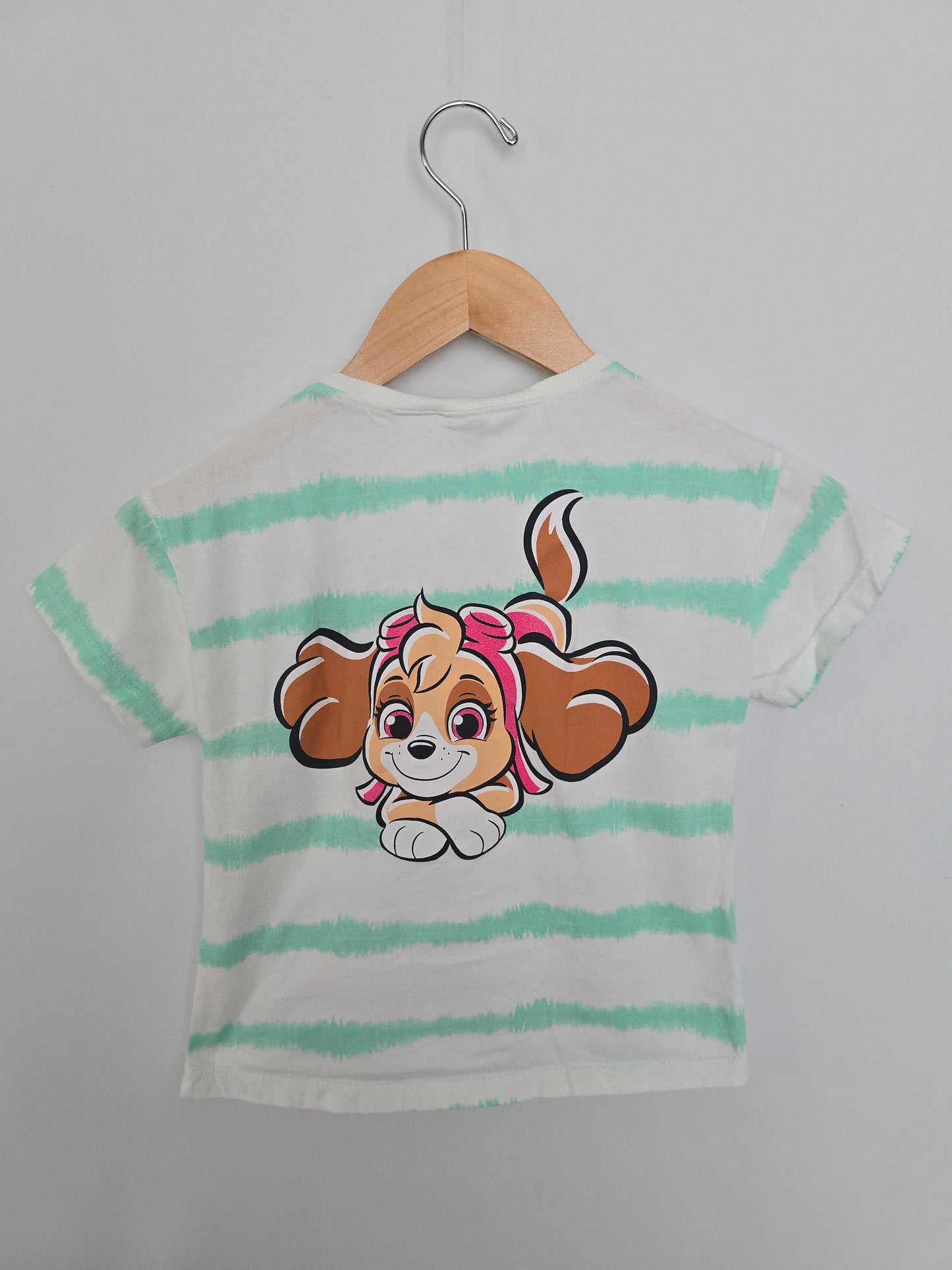 Zara Teal Stripe Skye Tee • 4-5 years