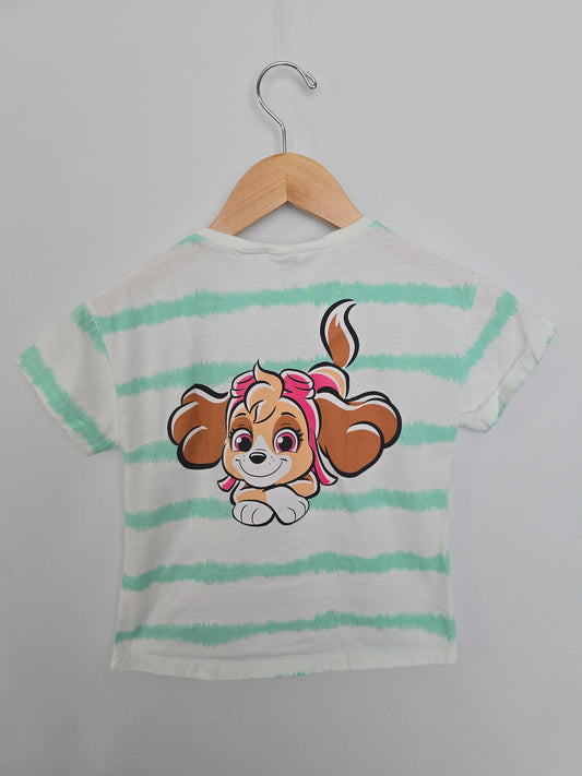 Zara Teal Stripe Skye Tee • 4-5 years