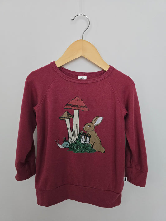 Little & Lively Bunny Graphic Pullover • 1-2 years