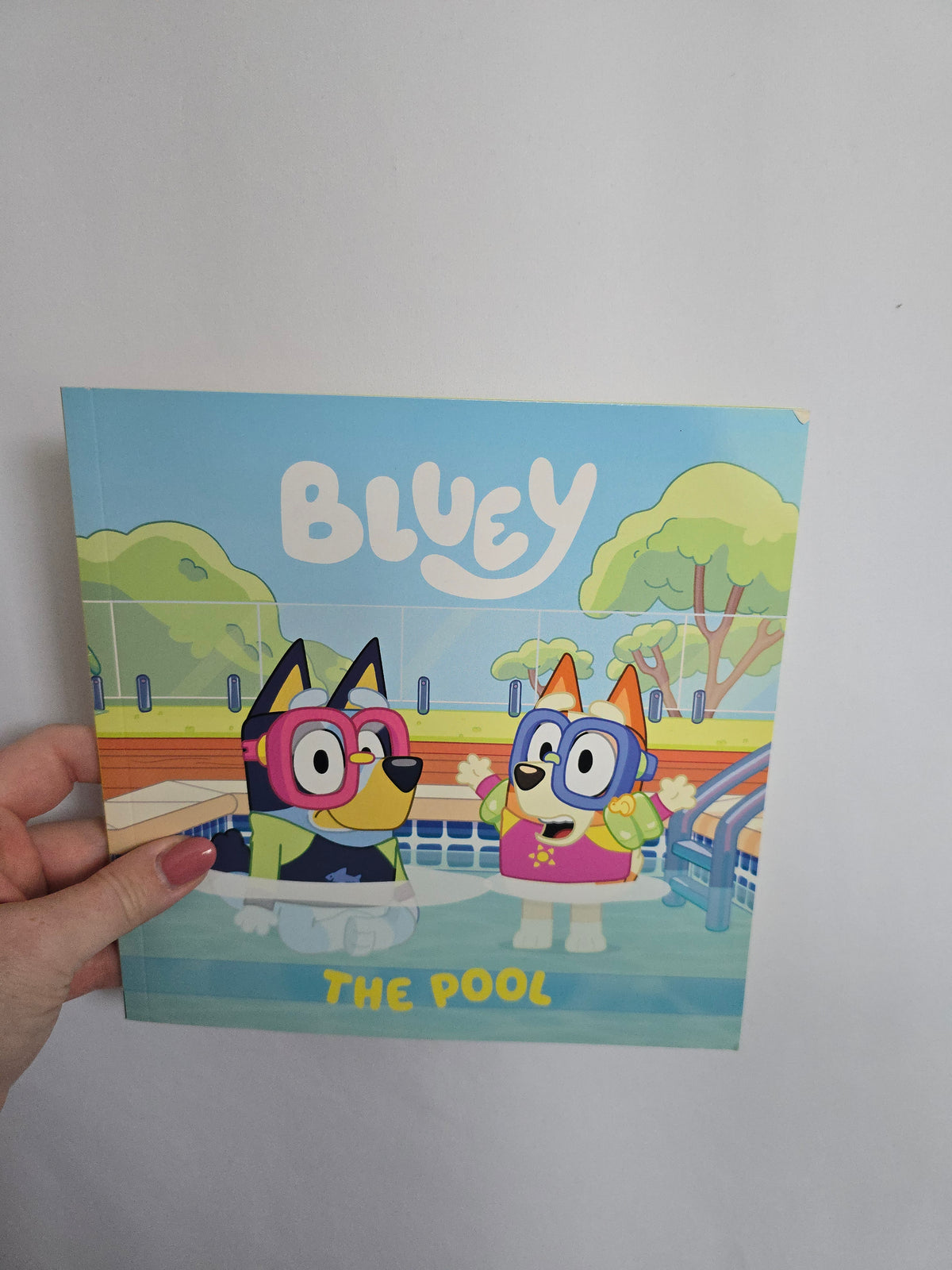 Bluey The Pool • Softcover Book