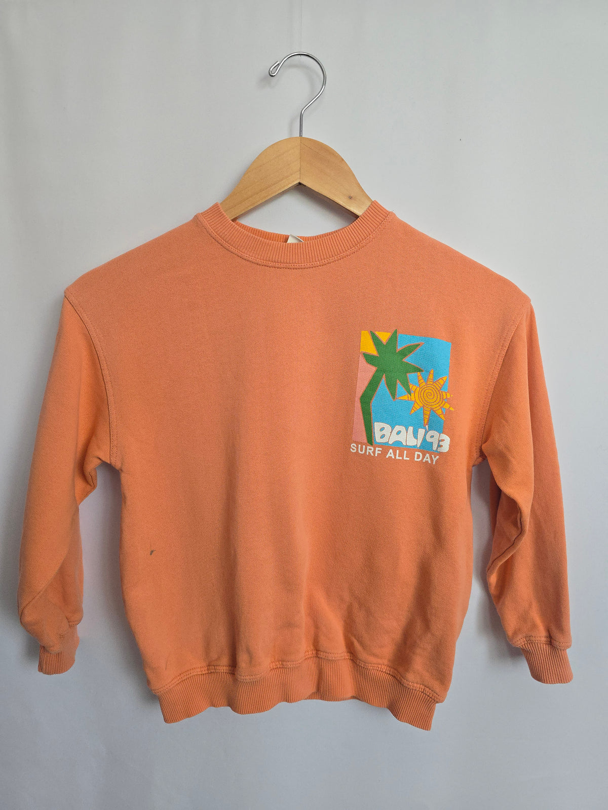 Zara Salmon Bali 93' Surf Crewneck • 6 years