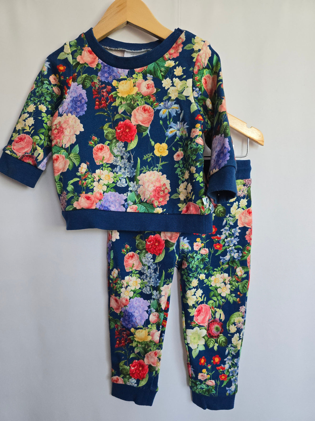 Posh Peanut Blue Floral Crewneck & Jogger Set • 18-24 months