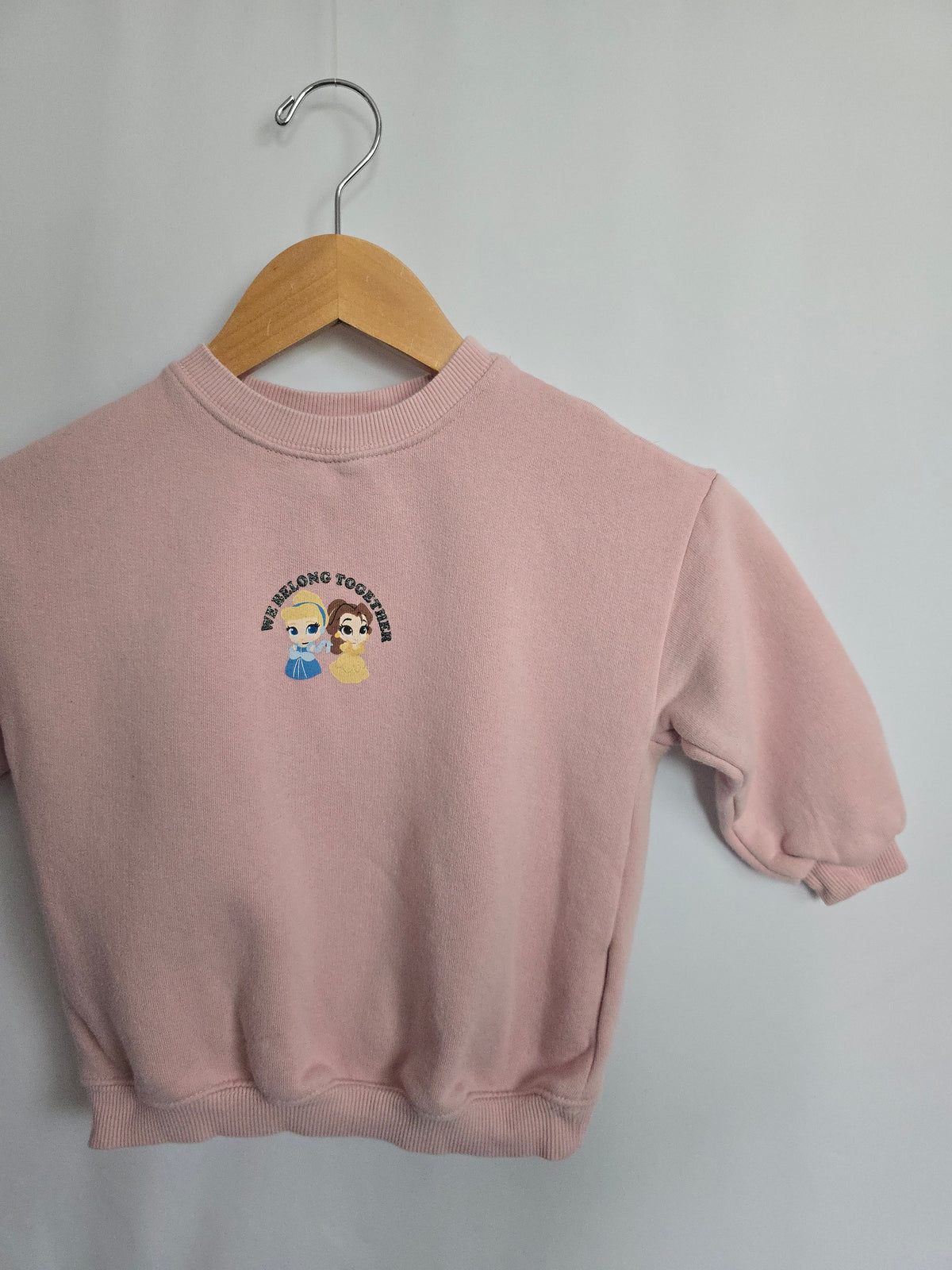 Zara x Disney Princess Pink Crewneck • 5 years