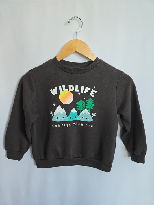 PLAY H&M Wildlife Crewneck • 4-6 years
